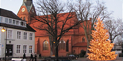 Weihnachtsbaum vor St.-Franziskus-Kirche