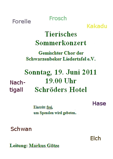 Plakat Sommerkonzert 2011