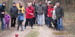 Boeln im Wald