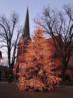 Weihnachtsbaum