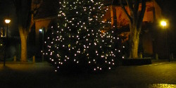 St.Franziskuskirche mit Weihnachtsbaum