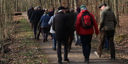 Spaziergang im Freizeitwald