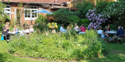 Mckenbach-Garten in Kollow