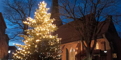Weihnachtsbaum auf Altem Markt